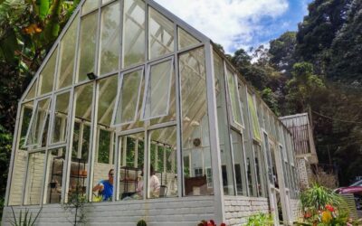 5 Compelling Reasons to Visit Coffee and Cakes @ the GlassHouse Fraser’s Hill