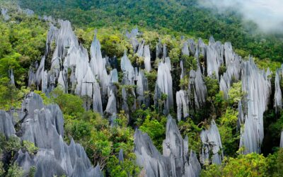 5 Irresistible Reasons to Visit Mulu National Park
